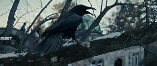 Всевидящее око (2022)