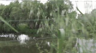 Крик с болота (2022)