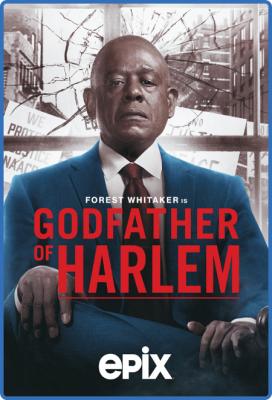 GodfaTher of Harlem S03E01 720p x264-FENiX
