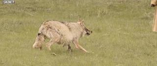 Там, где кончается море (2022)