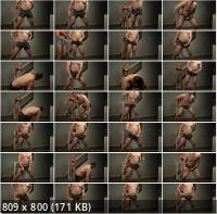 Clips4Sale - 2022 Kicks From The Back (FullHD/1080p/490 MB)