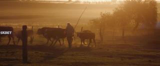 Хесус Лопес (2021)