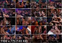 PartyHardcore/Tainster - Amateur - Party Hardcore Vol. 75 Part 1 (HD/720p/866 MB)