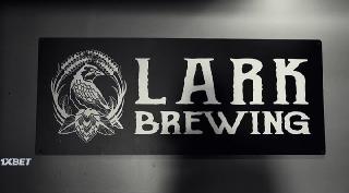 Холостяки (2022)