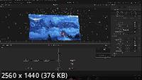 Анимация фотографий с помощью 3Д в Davinci Resolve Fusion и нейросетей (2022) Видеокурс