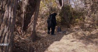 Неуловимый (2022)