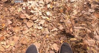 Неуловимый (2022)