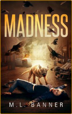 Madness by M L  Banner
