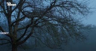 Что нам делать с Жаком? (2021)