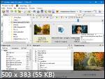 XnViewMP 1.4.2 Portable by Pierre Gougelet