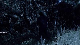 Безумная ночь (2020)