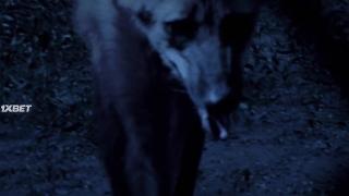 Безумная ночь (2020)