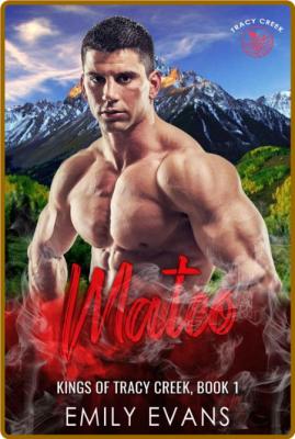 Mateo  A Small Town Romance - Emily Evans  _683f5d103c0645842385799d0fe325d3