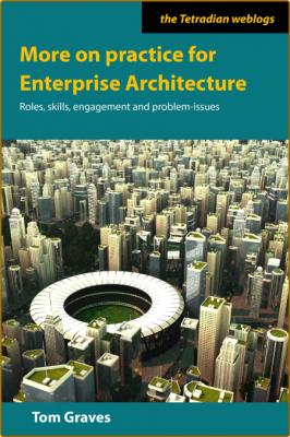 More on practice for Enterprise Architecture  _3a38332f419f33057eabc73717ba01d9