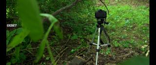 Флетвудс (2022)