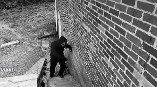 Дом Рейкеров (2023)