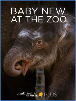 Baby New At The Zoo (2007) 1080p WEBRip x264 AAC-YTS