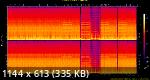 13. NuTone - The Wave.flac.Spectrogram.png