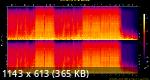 01. Shapeshifter NZ - Stars.flac.Spectrogram.png