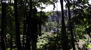 Кровозавры  (2020)