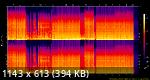 03. Scar, Naomi Pryor - The Wrong Side (2 Bad Mice Remix).flac.Spectrogram.png