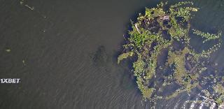 #пореке (2022)