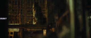 Белый пёс  (2022)