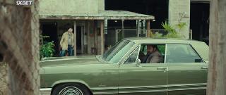 Белый пёс  (2022)