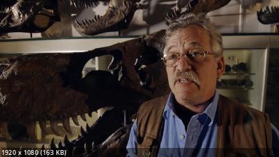 Смертельный бой динозавров / Dino Death Match (2015) WEB-DL 1080p
