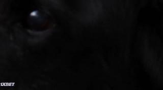 Свинка Элвис (2022)