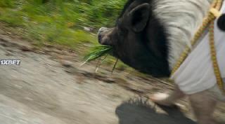 Свинка Элвис (2022)