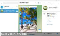 Telegram Desktop 4.8.0 for Windows + Portable