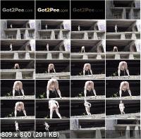 Got2Pee - Unknown - Daring-Pee (FullHD/1080p/64.2 MB)