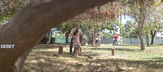 Мамбо Мэн (2020)