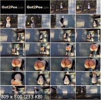 Got2Pee - Unknown - Panda-Pissing (FullHD/1080p/76.3 MB)