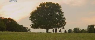 Корсикана (2022)