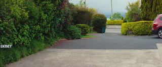 Роша и Фрэнк (2022)