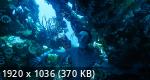:   | Avatar: The Way of Water (2022/WEB-DLRip/720p/1080p/2160p)