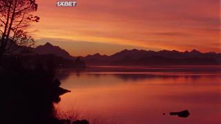 Школа чемпионов (2021)