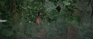 Лес девственницы (2022)