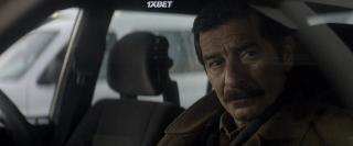 Анатолийский леопард (2021)