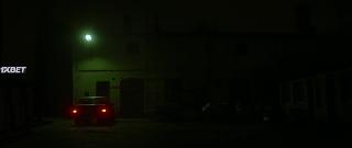 Анатолийский леопард (2021)