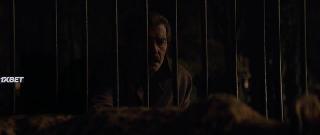 Анатолийский леопард (2021)