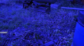 Кладбище Пэппи (2021)