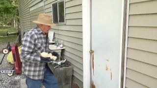 Кладбище Пэппи (2021)