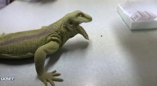 Кладбище Пэппи (2021)