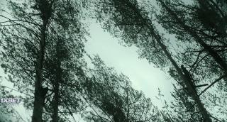 Жаки Кэллу (2022)