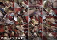 SplatBukkake - Face Full Of Cum For Classy Filth (FullHD/1080p/516 MB)