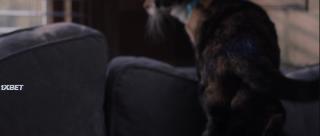 Я присмотрю за тобой (2023)