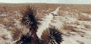 Вива Мексика! (2023)